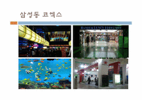 [소비문화환경] 몰링(malling)의 이해와 몰링족에 관한 고찰-17