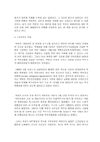 1차 북핵문제 레포트-5