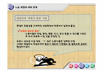 [사회학] 노동과 사회-15