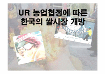 우루과이라운드의 농업협정에 따른 한국의 쌀시장 개방-1
