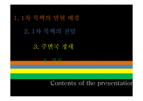1차 북핵문제 레포트-2