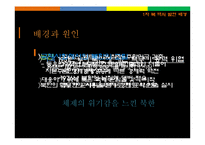 1차 북핵문제 레포트-3