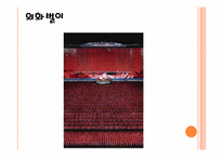 [북한사회론] 북한의 아리랑 공연-7