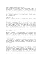 랩어카운트의 문제와 개선방안00-2