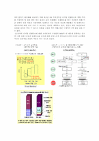 LG전자의 인사관리(평가중심)-13