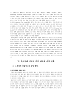 우리나라 기업의 미국 태양광 시장 진출-13