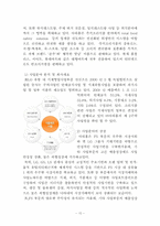 반조리식품 마케팅 분석-12