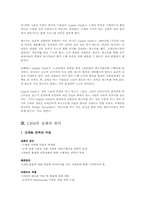 [경영정보학] CRM 사례-10