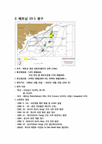 [해외투자론] 베트남 15-1 광구(절충이론을 중심으로)-8