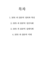 BPR 과 ERP 레포트-2