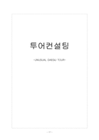[투어컨설팅] 대구 관광육성 관광 상품-17