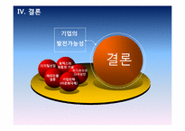 [글로벌마케팅] 휴맥스 이문화 극복사례 연구-18