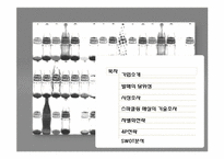 신제품개발 건강음료 매실사이다 마케팅전략-2