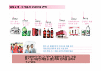 신제품개발 건강음료 매실사이다 마케팅전략-5