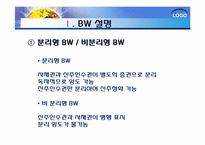 bond with warrant(BW) 신주인수권부사채-5