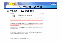 bond with warrant(BW) 신주인수권부사채-13
