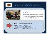 Harley-Davidson 할리데이비스 마케팅-10