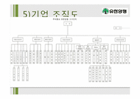 [경영학] 유한양행 기업분석-12