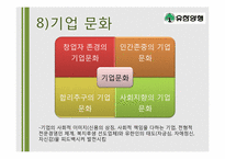 [경영학] 유한양행 기업분석-15