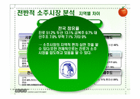 진로소주 `J` 제이 마케팅분석-3