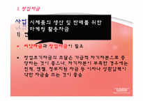 창업자금조달 레포트-4