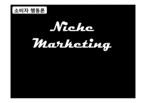 니치마케팅 Niche Marketing-1