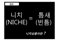 니치마케팅 Niche Marketing-4