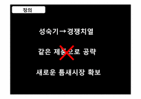 니치마케팅 Niche Marketing-8