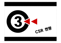 현대자동차 CSR 레포트-12
