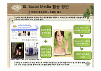 [경영학] 아모레퍼시픽 SNS 활용 방안 기획서 -이니스프리의 SNS활용 방안 기획-12