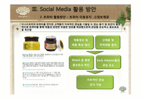 [경영학] 아모레퍼시픽 SNS 활용 방안 기획서 -이니스프리의 SNS활용 방안 기획-13