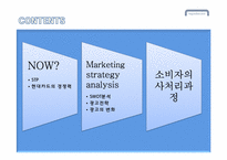 [소비자행동] 현대카드의 광고와 소비자의사결정과정-7