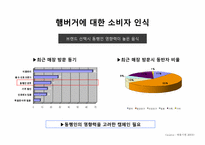버거킹 광고전략-10