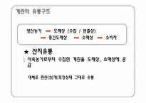 계란의 유통구조 및 문제점-3