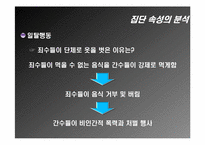 [조직행동론] 엑스페리먼트(The Experiment) 집단행동의 이해 및 집단속성의 분석-13
