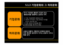 [조직론] 5장 문화로서의 조직-13