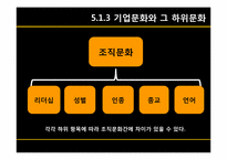 [조직론] 5장 문화로서의 조직-17