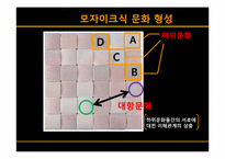 [조직론] 5장 문화로서의 조직-20
