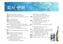 [촉진전략] 하이트 HITE MAX(맥스)맥주 IMC전략-4
