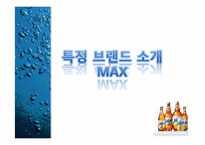 [촉진전략] 하이트 HITE MAX(맥스)맥주 IMC전략-7