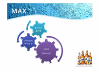 [촉진전략] 하이트 HITE MAX(맥스)맥주 IMC전략-8