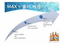[촉진전략] 하이트 HITE MAX(맥스)맥주 IMC전략-9