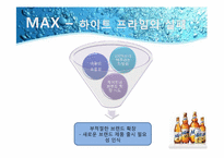 [촉진전략] 하이트 HITE MAX(맥스)맥주 IMC전략-10