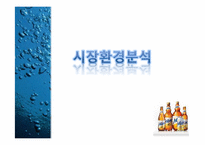 [촉진전략] 하이트 HITE MAX(맥스)맥주 IMC전략-12