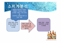[촉진전략] 하이트 HITE MAX(맥스)맥주 IMC전략-14