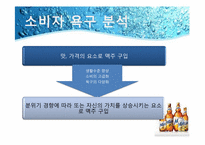 [촉진전략] 하이트 HITE MAX(맥스)맥주 IMC전략-15