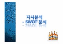 [촉진전략] 하이트 HITE MAX(맥스)맥주 IMC전략-19