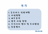 [재무관리] 글로비스 재무분석-2