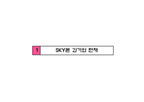 [마케팅] 스카이 SKY 스마트 폰 분석 및 마케팅 방향 제시-4