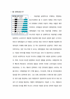 [마케팅] 현대자동차 유스마케팅 -채널을 활용한 마케팅 경험 관리(SNS를 통한 채널 관리)-4